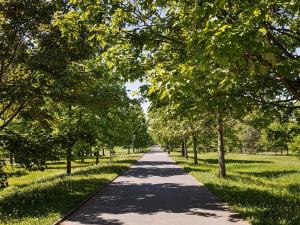 Prodej bytu 4+kk, Hradec Králové, Pospíšilova, 95 m2