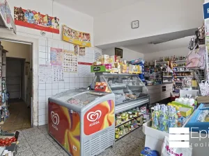 Prodej rodinného domu, Tišice, Okružní, 530 m2
