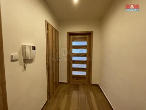 Pronájem bytu 1+kk, Brandýs nad Labem-Stará Boleslav - Brandýs nad Labem, Na vinici, 30 m2