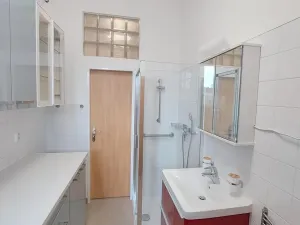 Pronájem bytu 1+kk, Brno, Botanická, 32 m2