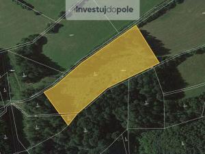 Prodej lesa, Cotkytle, 97502 m2