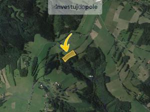 Prodej lesa, Cotkytle, 13509 m2