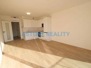 Pronájem bytu 1+kk, Praha - Žižkov, Šrámkové, 43 m2