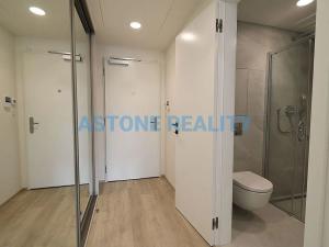 Pronájem bytu 1+kk, Praha - Žižkov, Šrámkové, 43 m2