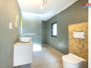 Prodej rodinného domu, Kropáčova Vrutice, 165 m2