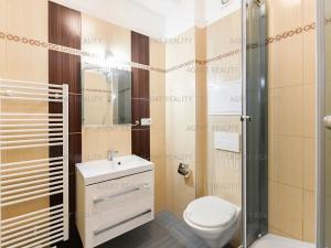 Pronájem bytu 1+kk, Praha - Břevnov, 8. listopadu, 27 m2