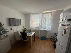 Pronájem bytu 1+1, Plzeň, Manětínská, 40 m2