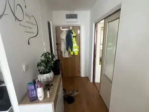 Pronájem bytu 1+1, Plzeň, Manětínská, 40 m2