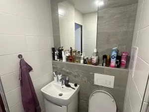 Pronájem bytu 1+1, Plzeň, Manětínská, 40 m2