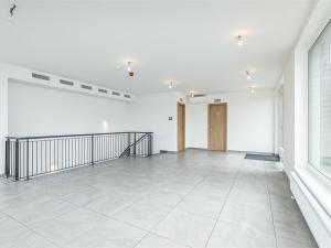 Prodej obchodního prostoru, Praha, U Pergamenky, 108 m2