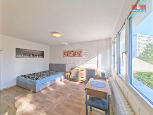Prodej bytu 1+kk, Hradec Králové - Slezské Předměstí, Severní, 27 m2