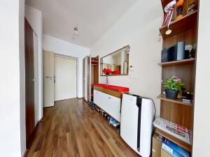 Pronájem bytu 1+kk, Brno, Fantova, 30 m2