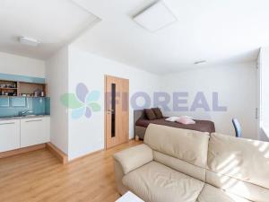 Pronájem bytu 1+kk, Praha - Michle, U michelského mlýna, 33 m2