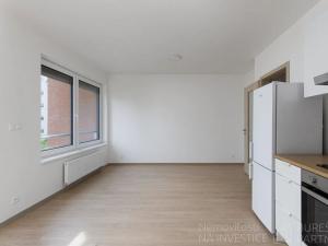 Pronájem bytu 1+kk, Praha - Chodov, Šternovská, 33 m2