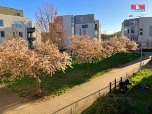 Pronájem bytu 3+kk, Beroun - Beroun-Město, V Zahradách, 75 m2