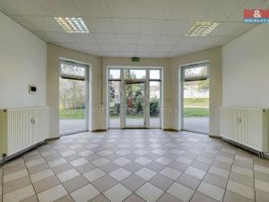 Pronájem obchodního prostoru, Třemošná, Plzeňská, 133 m2