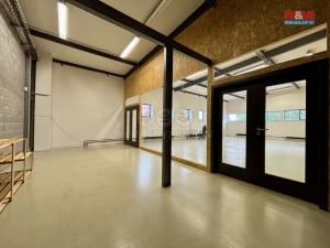 Pronájem kanceláře, Ostrava - Moravská Ostrava, 120 m2