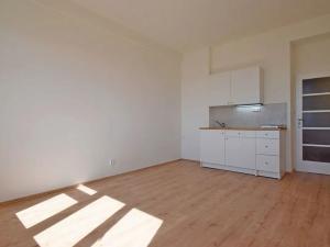 Pronájem bytu 1+kk, Praha - Vinohrady, V Horní Stromce, 24 m2