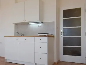 Pronájem bytu 1+kk, Praha - Vinohrady, V Horní Stromce, 24 m2