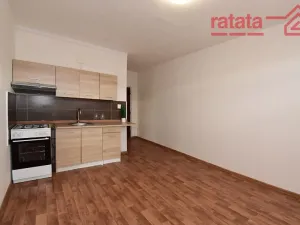 Pronájem bytu 1+1, Chomutov, Písečná, 35 m2