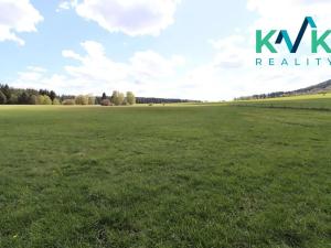 Prodej rodinného domu, Toužim, 810 m2