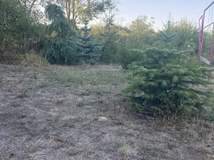 Prodej rodinného domu, Hadzhi Dimitar, Bulharsko, 52 m2