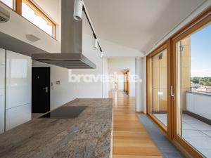 Pronájem bytu 5+kk, Praha - Nusle, Na Bučance, 173 m2