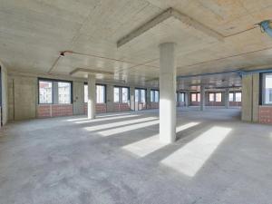 Pronájem kanceláře, Praha - Holešovice, Veletržní, 375 m2