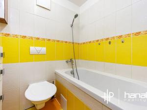 Prodej bytu 1+kk, Šternberk, Labutí, 31 m2