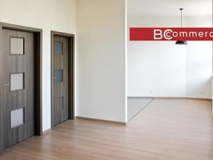 Pronájem bytu 2+kk, Brno, Křenová, 54 m2
