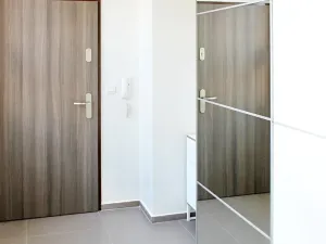 Pronájem bytu 2+kk, Brno, Křenová, 54 m2