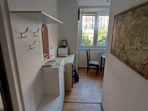 Pronájem bytu 1+1, Prostějov, Tylova, 35 m2