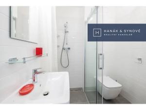 Pronájem bytu 1+kk, Brno, Křenová, 20 m2