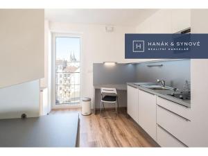 Pronájem bytu 1+kk, Brno, Křenová, 20 m2