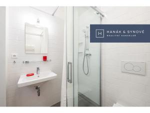 Pronájem bytu 1+kk, Brno, Křenová, 20 m2