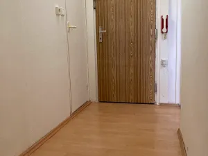 Pronájem bytu 1+1, Chomutov, Hutnická, 42 m2