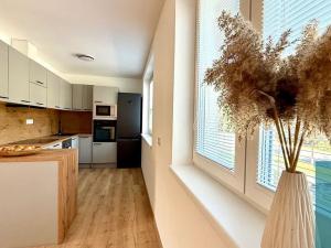 Pronájem bytu 2+kk, Zdounky, Nádražní, 60 m2
