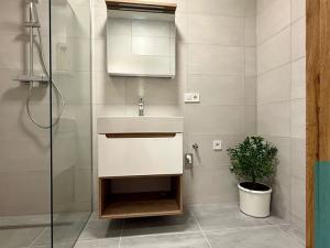 Pronájem bytu 2+kk, Zdounky, Nádražní, 60 m2