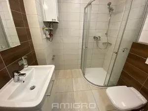 Pronájem bytu 1+kk, Brno, Životského, 24 m2