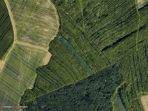 Prodej lesa, Mistřice, 1791 m2