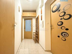 Pronájem bytu 2+1, Blovice, Americká, 49 m2