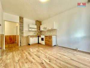 Prodej bytu 1+1, Duchcov, Vrchlického, 34 m2
