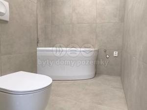 Pronájem bytu 2+1, Chomutov, Rooseveltova, 59 m2