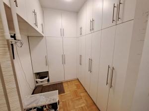 Prodej bytu 3+kk, Brno, Hostinského, 75 m2