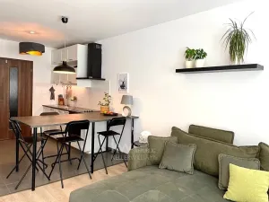 Pronájem bytu 2+kk, Praha - Žižkov, Olgy Havlové, 39 m2