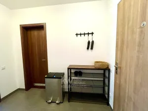 Pronájem bytu 2+kk, Praha - Žižkov, Olgy Havlové, 39 m2
