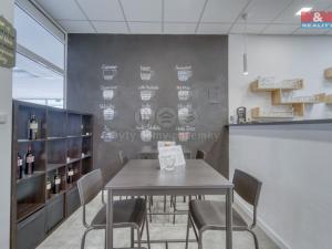 Pronájem obchodního prostoru, Třemošná, Plzeňská, 100 m2