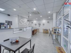 Pronájem obchodního prostoru, Třemošná, Plzeňská, 100 m2