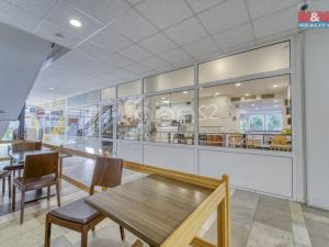 Pronájem obchodního prostoru, Třemošná, Plzeňská, 100 m2