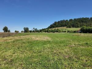 Prodej pozemku pro bydlení, Střemošice, 4400 m2